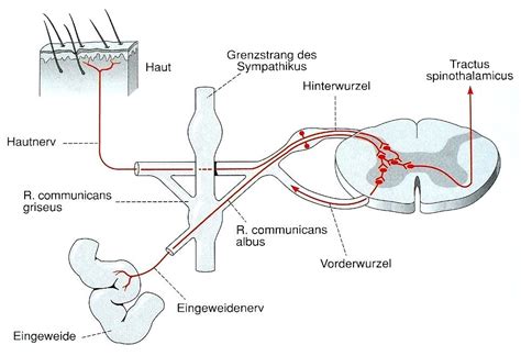 hemmsystem